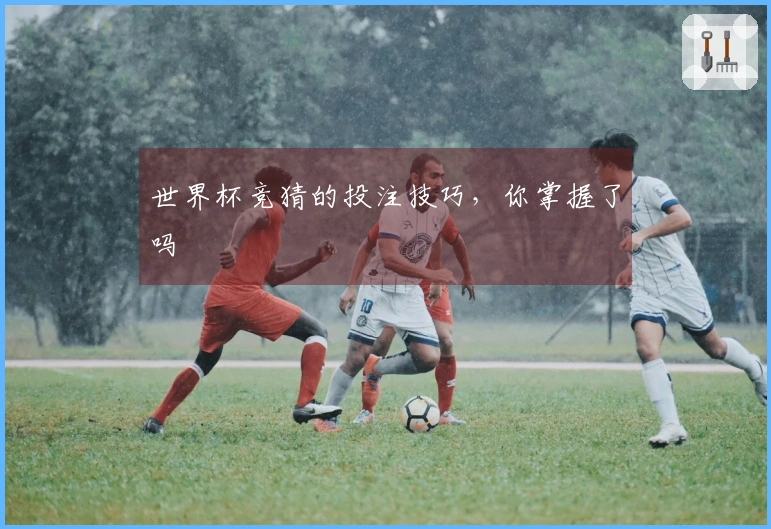 世界杯竞猜的投注技巧，你掌握了吗