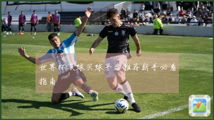 世界杯滚球买球平台推荐新手必看指南