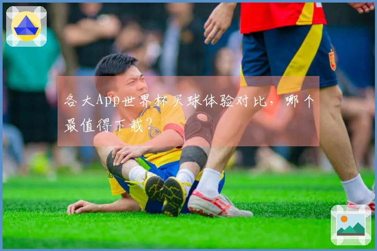 各大App世界杯买球体验对比，哪个最值得下载？