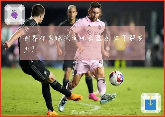 世界杯买球投注玩法盘点 你了解多少？