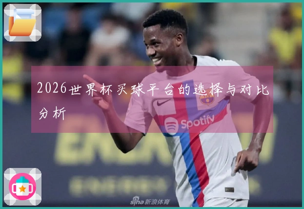 2026世界杯买球平台的选择与对比分析