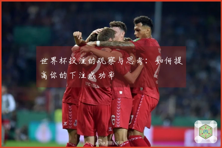 世界杯投注的观察与思考：如何提高你的下注成功率