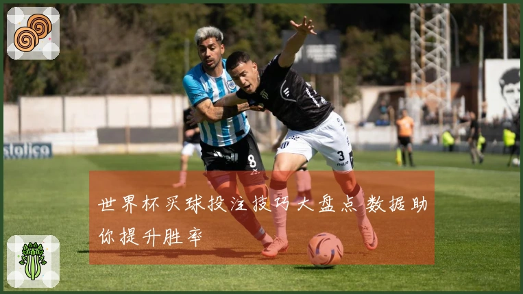 世界杯买球投注技巧大盘点 数据助你提升胜率