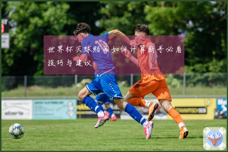 世界杯买球赔率如何计算新手必看技巧与建议